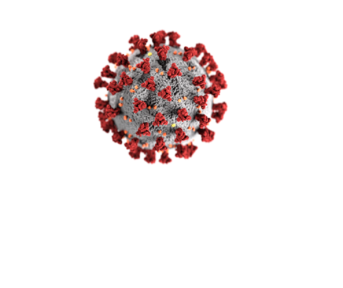virus