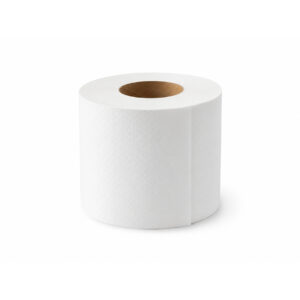 Toilet Paper, 2ply, 400 sheets, 48 rolls/Box
