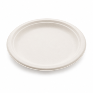 9-Inch Sugarcane Disposable Round Plate 500pcs/ctn